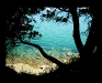 The Hidden Paradise